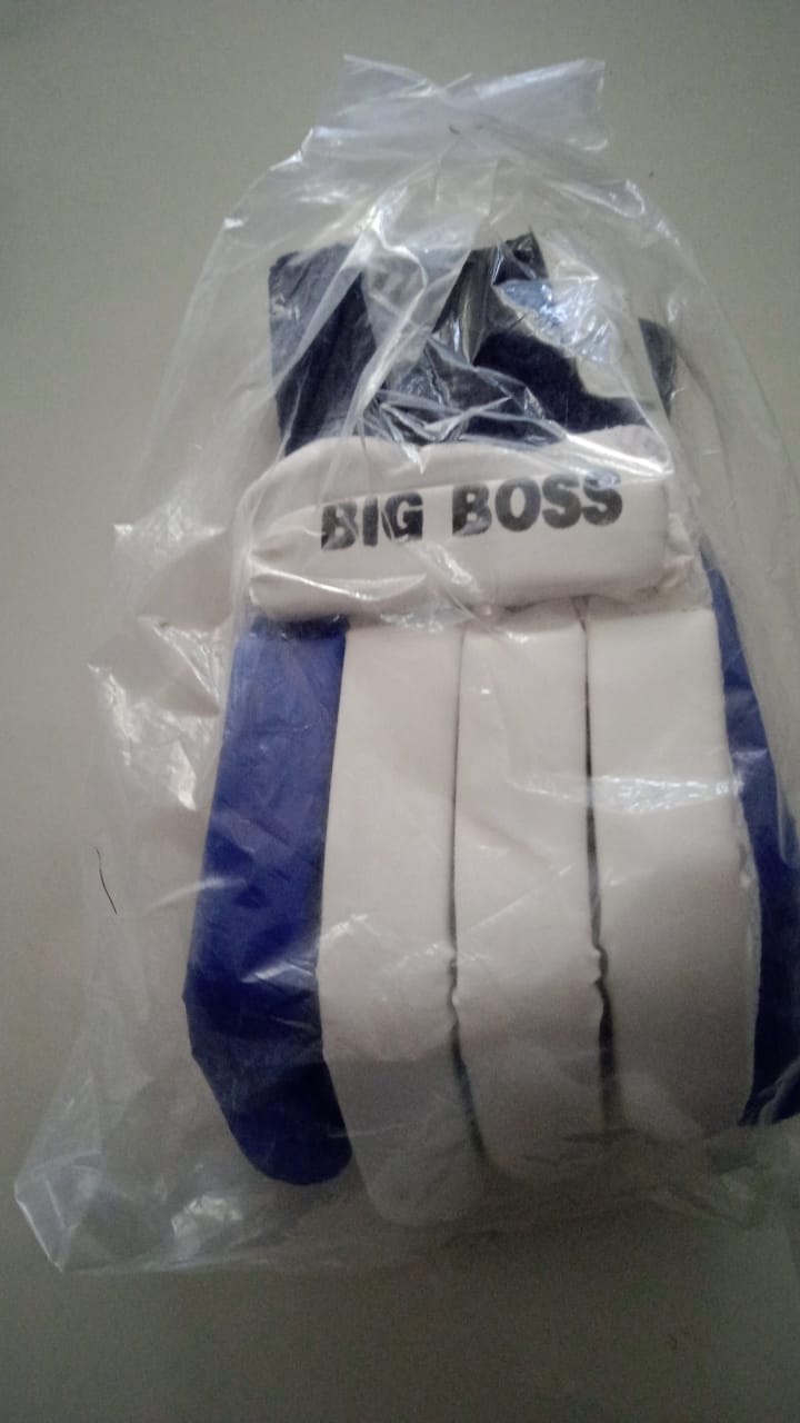 🏏 Big Boss Cricket Gloves